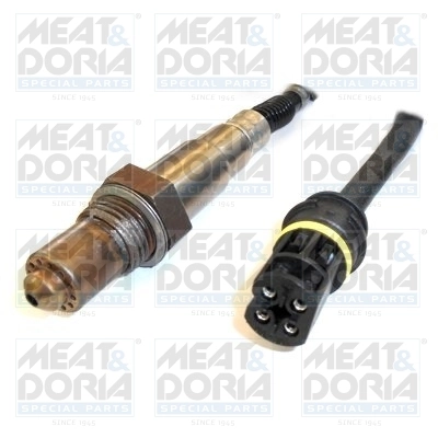 Oxygen Sensor